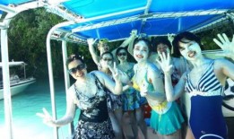 娱乐吃瓜君投票,最受欢迎明星榜单大揭秘！