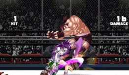 忍战樱爆料视频完整版,独家内幕大公开